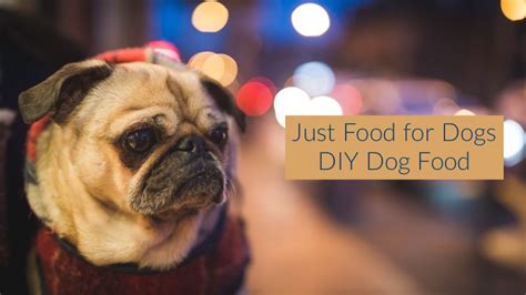 just for dogs promo code|Just Food For Dogs Promo Codes